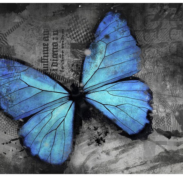 Animal Wallpaper Wall Mural - Blue Butterfly Collage