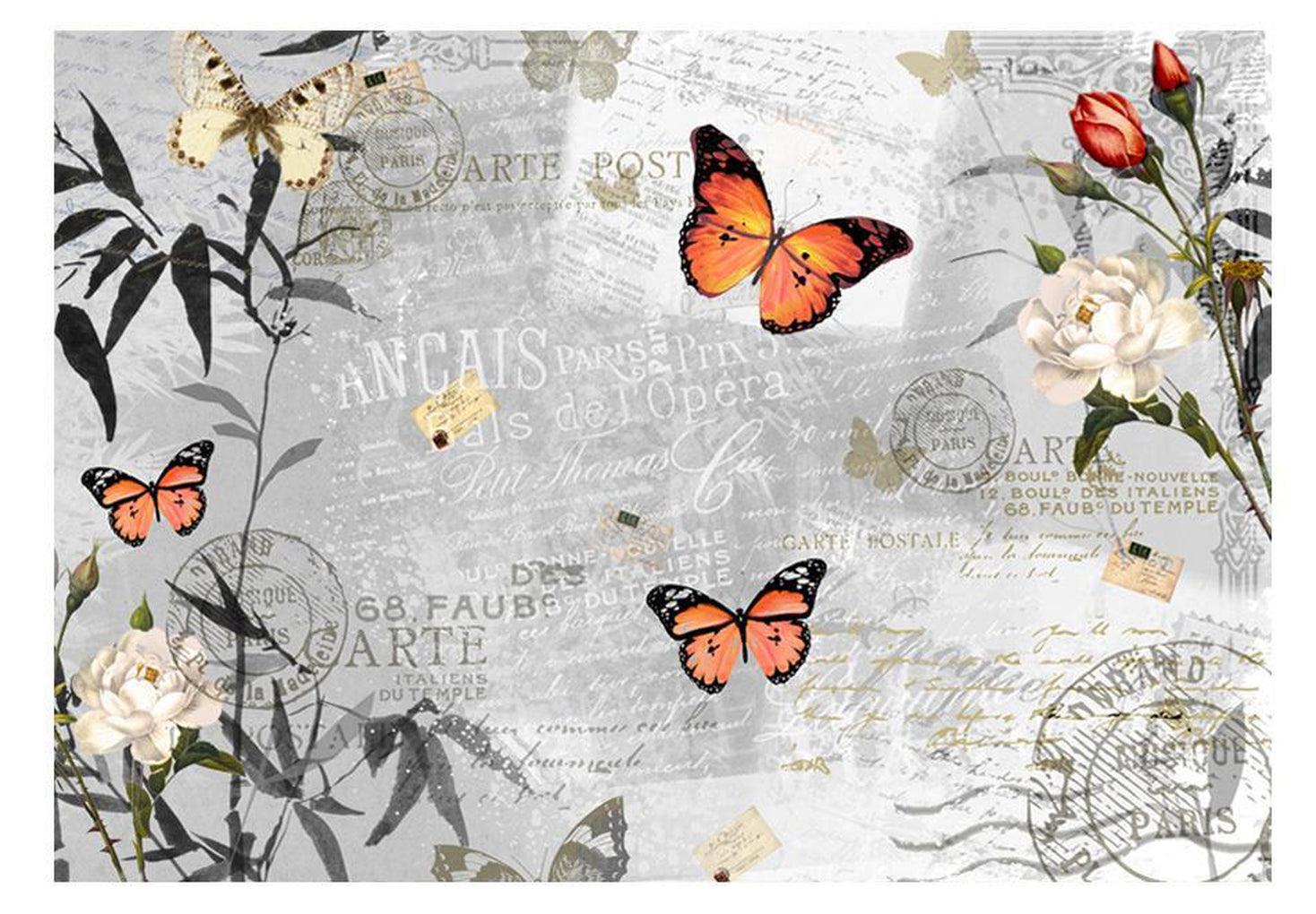 Animal Wallpaper Wall Mural - Butterfly Letter