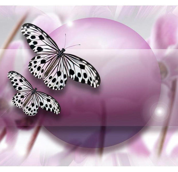 Animal Wallpaper Wall Mural - Butterfly Evening
