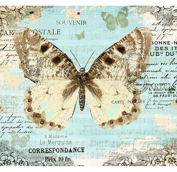 Animal Wallpaper Wall Mural - Butterfly Postcard
