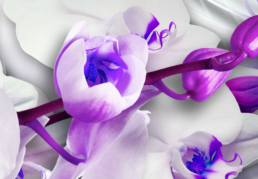 Stretched Canvas Floral Art - Coolness Of Orchid