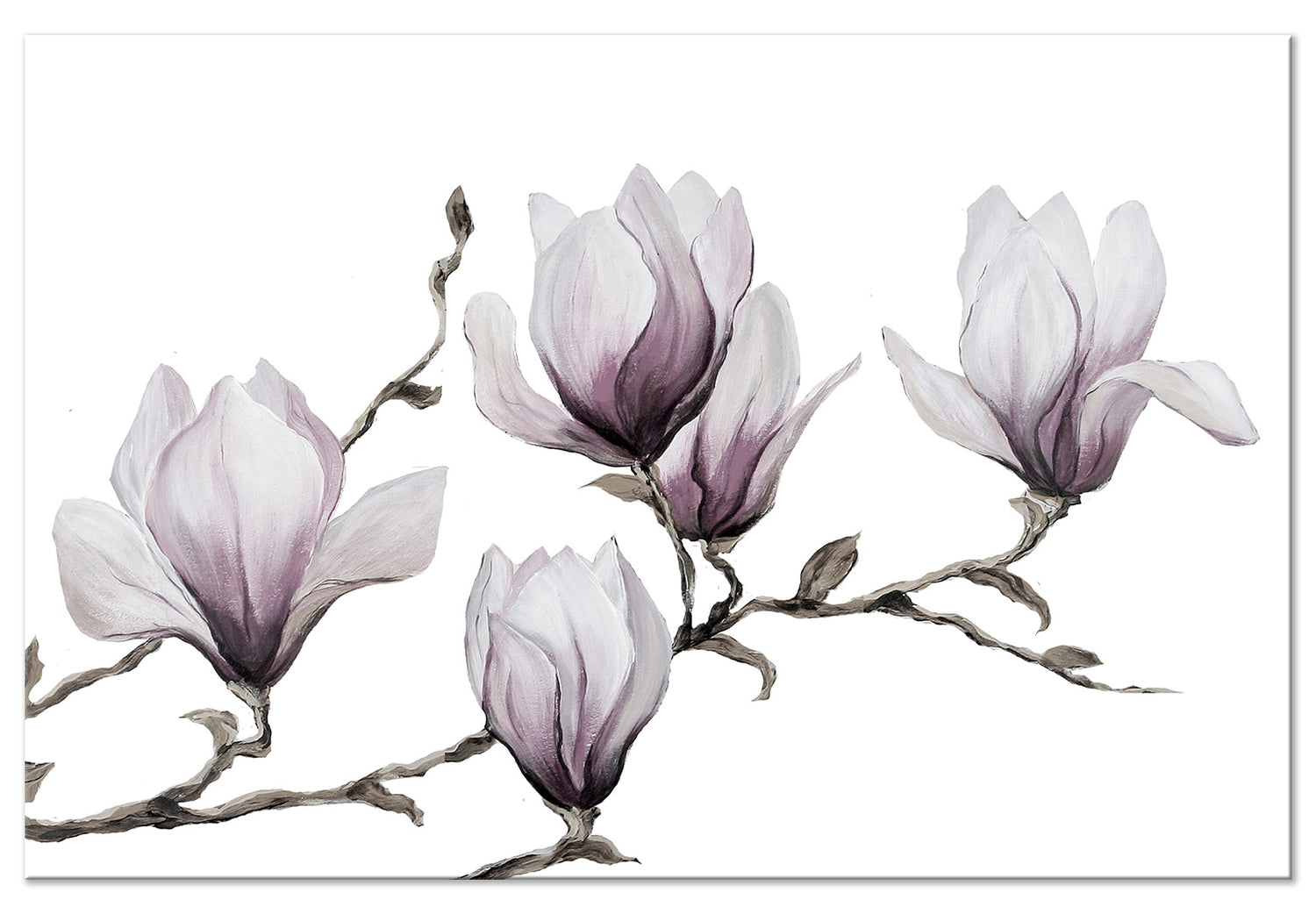 Floral Canvas Wall Art - Painted Magnolias