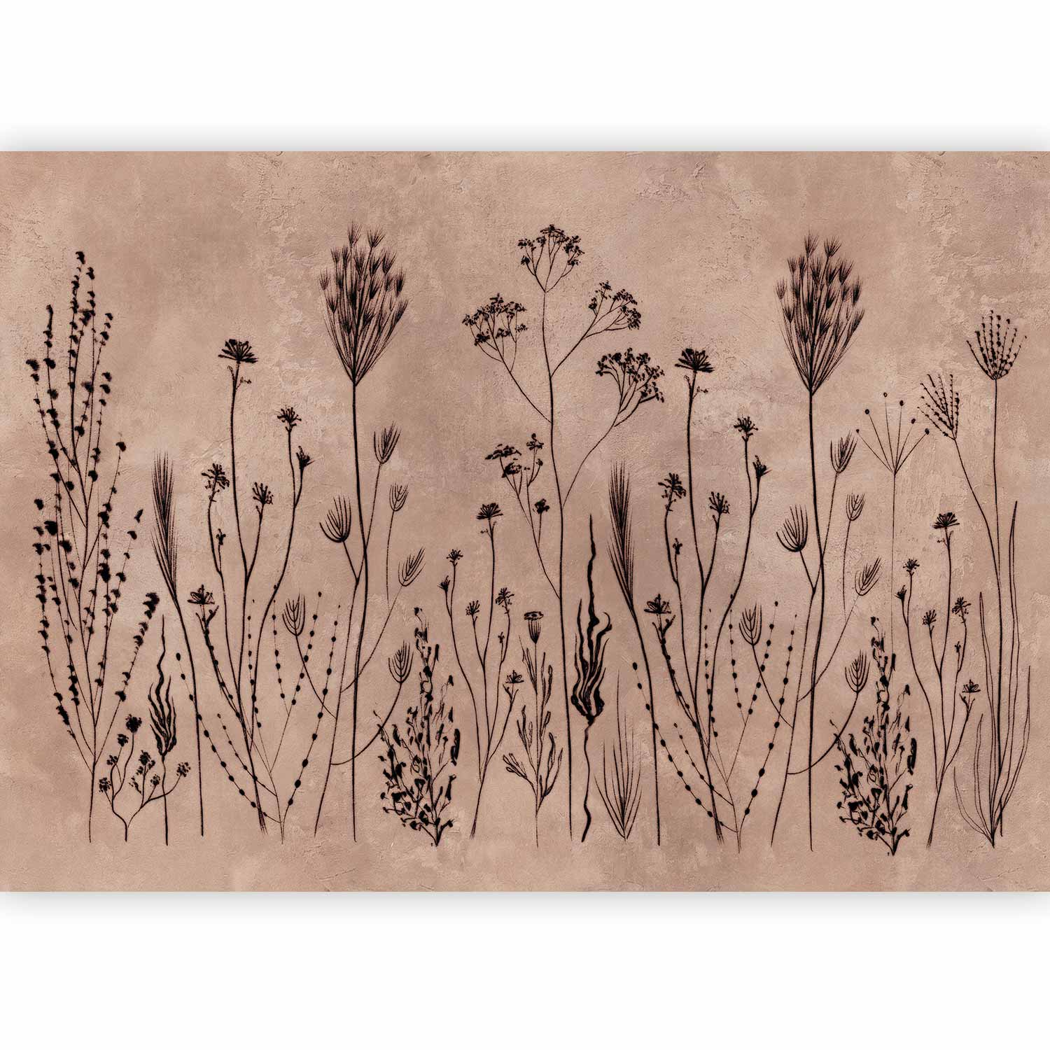Premium Abstract Wall Mural - Wildflowers – Black Plants On Lime-Wash Background