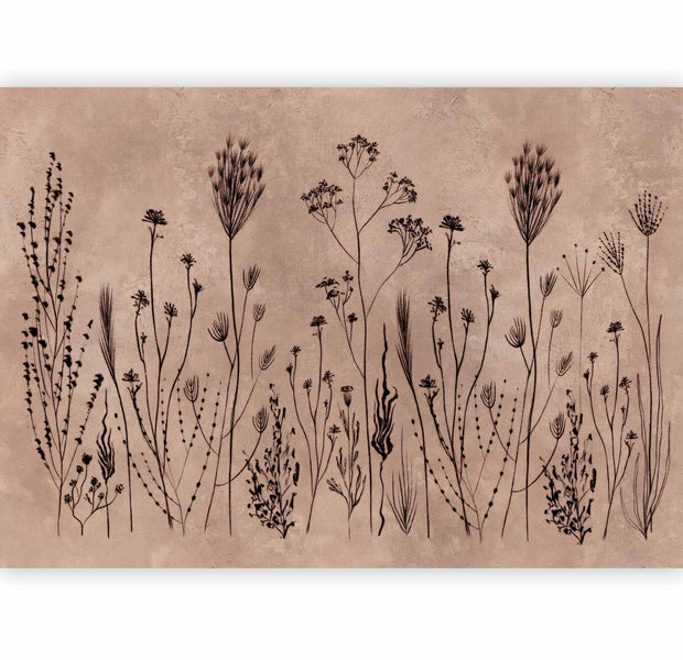 Premium Abstract Wall Mural - Wildflowers – Black Plants On Lime-Wash Background