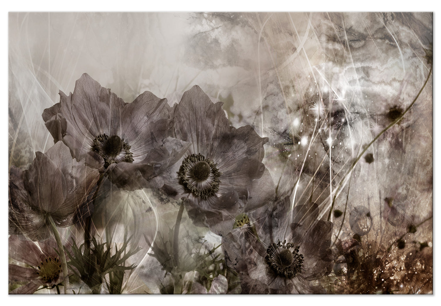 Floral Canvas Wall Art - Anemones in Sepia