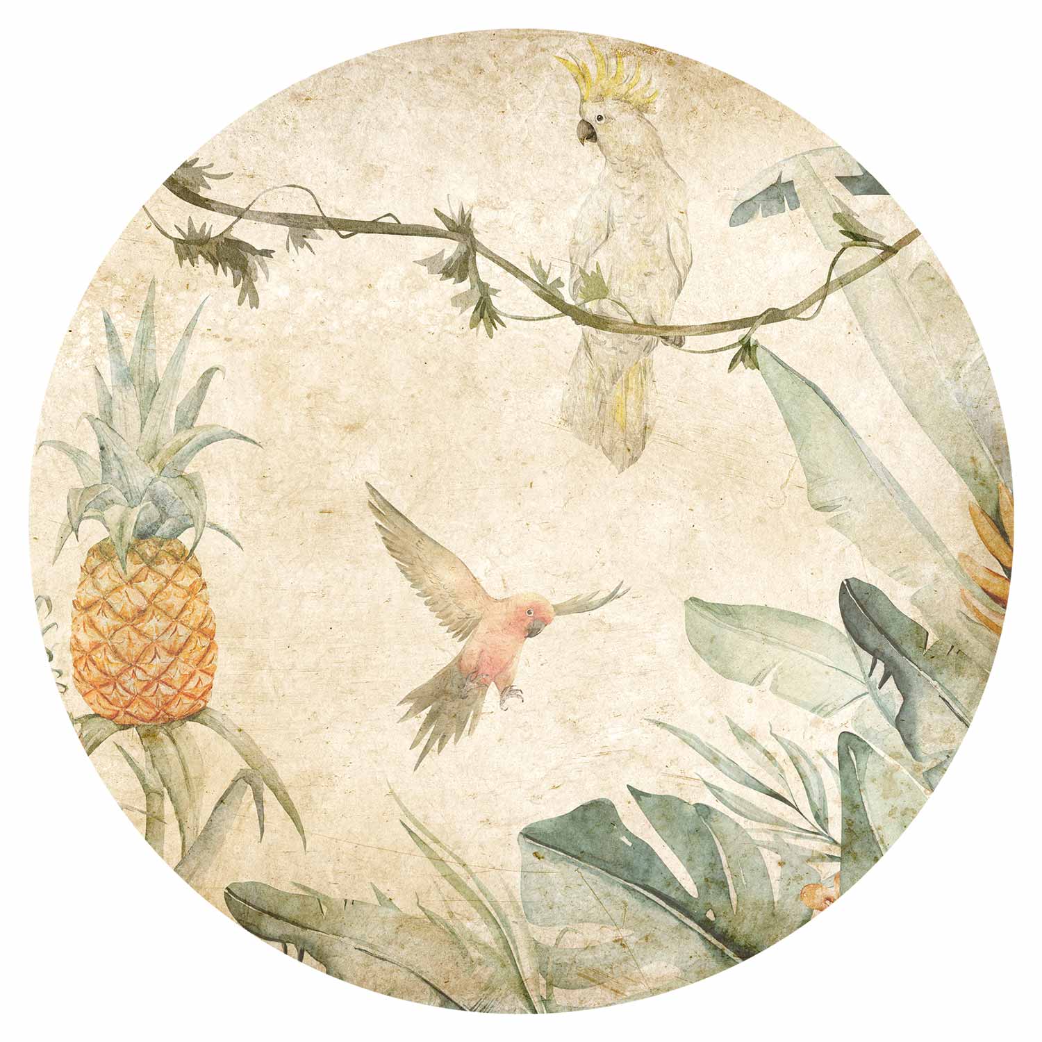 Round Wall Mural - Parrots In The Jungle