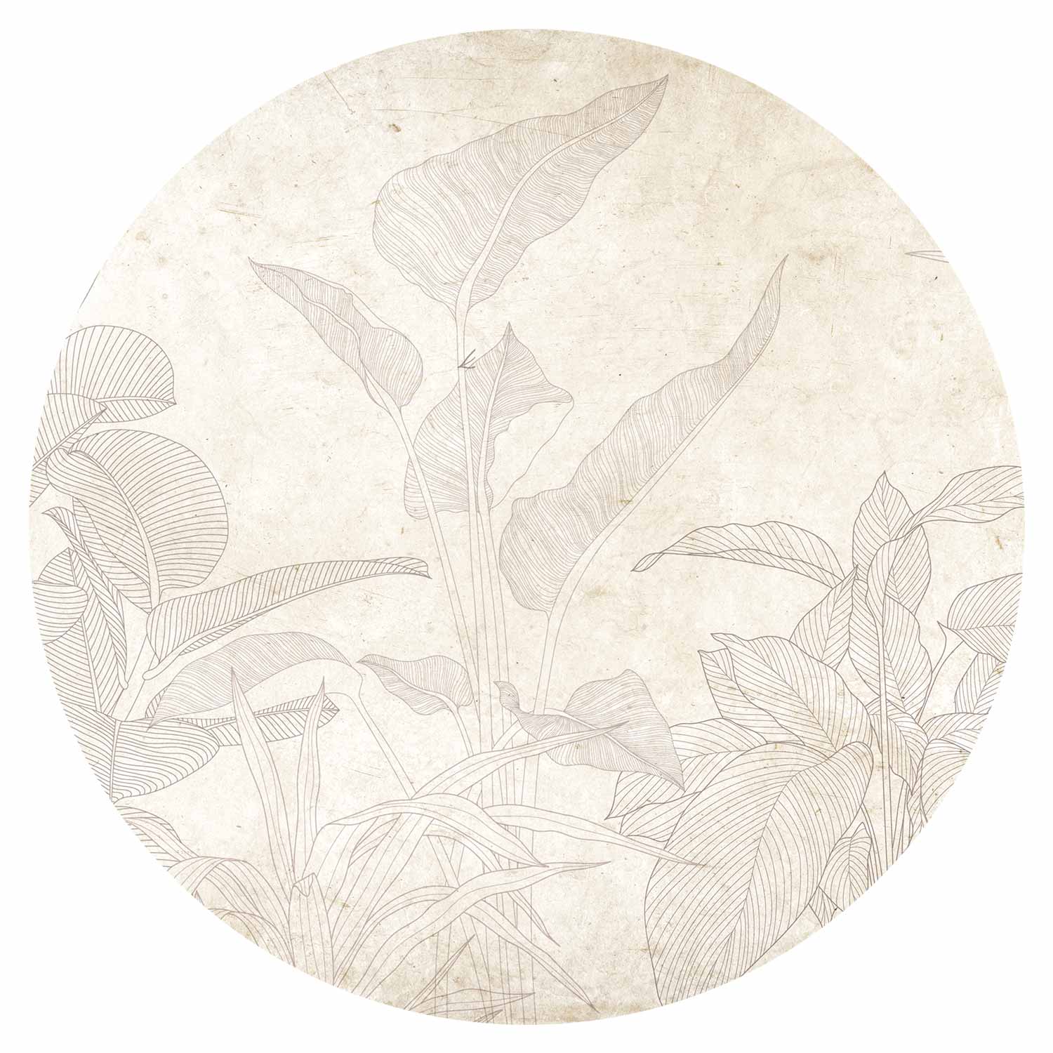 Round Wall Mural - Subtle Exotic Plants