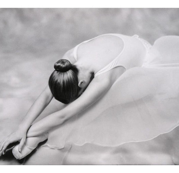 Ballet Wallpaper Wall Mural - Ballerina Bow