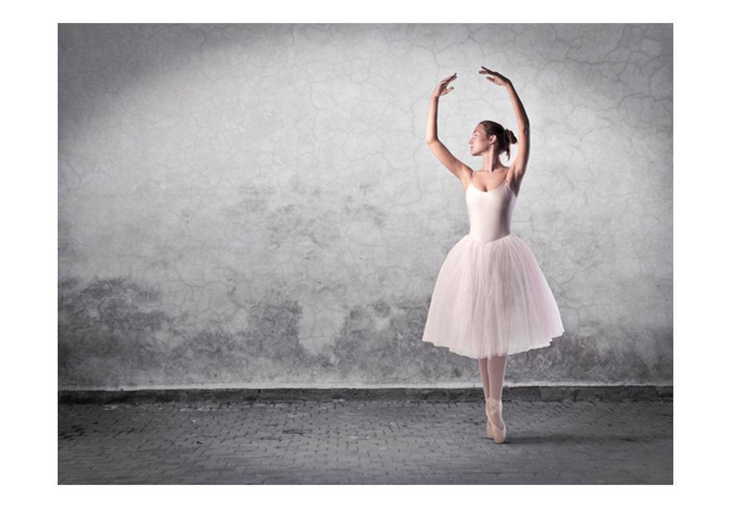 Ballet Wallpaper Wall Mural - Ballerina On Grey Background