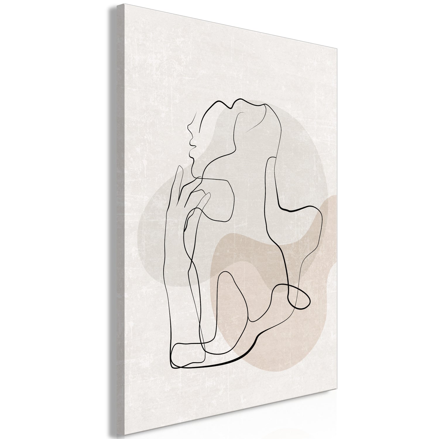 Abstract Canvas Wall Art - French Chic
