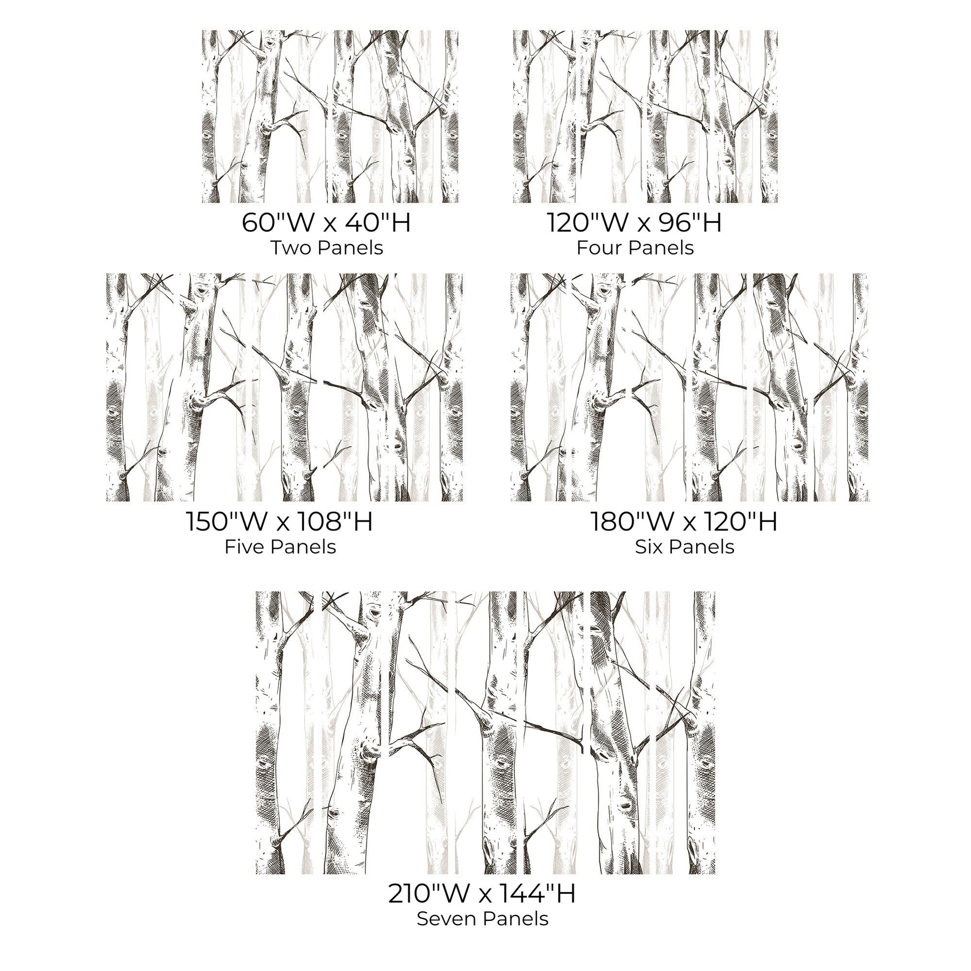 Various sizes of wall murals depicting birch trees in monochrome arranged in two to seven panel options.