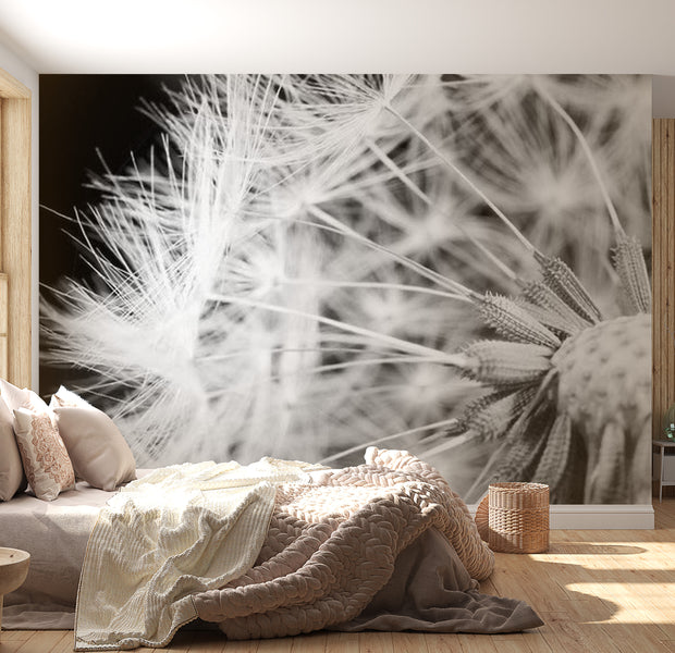 Botanical Wallpaper Wall Mural - Black And White Dandelion