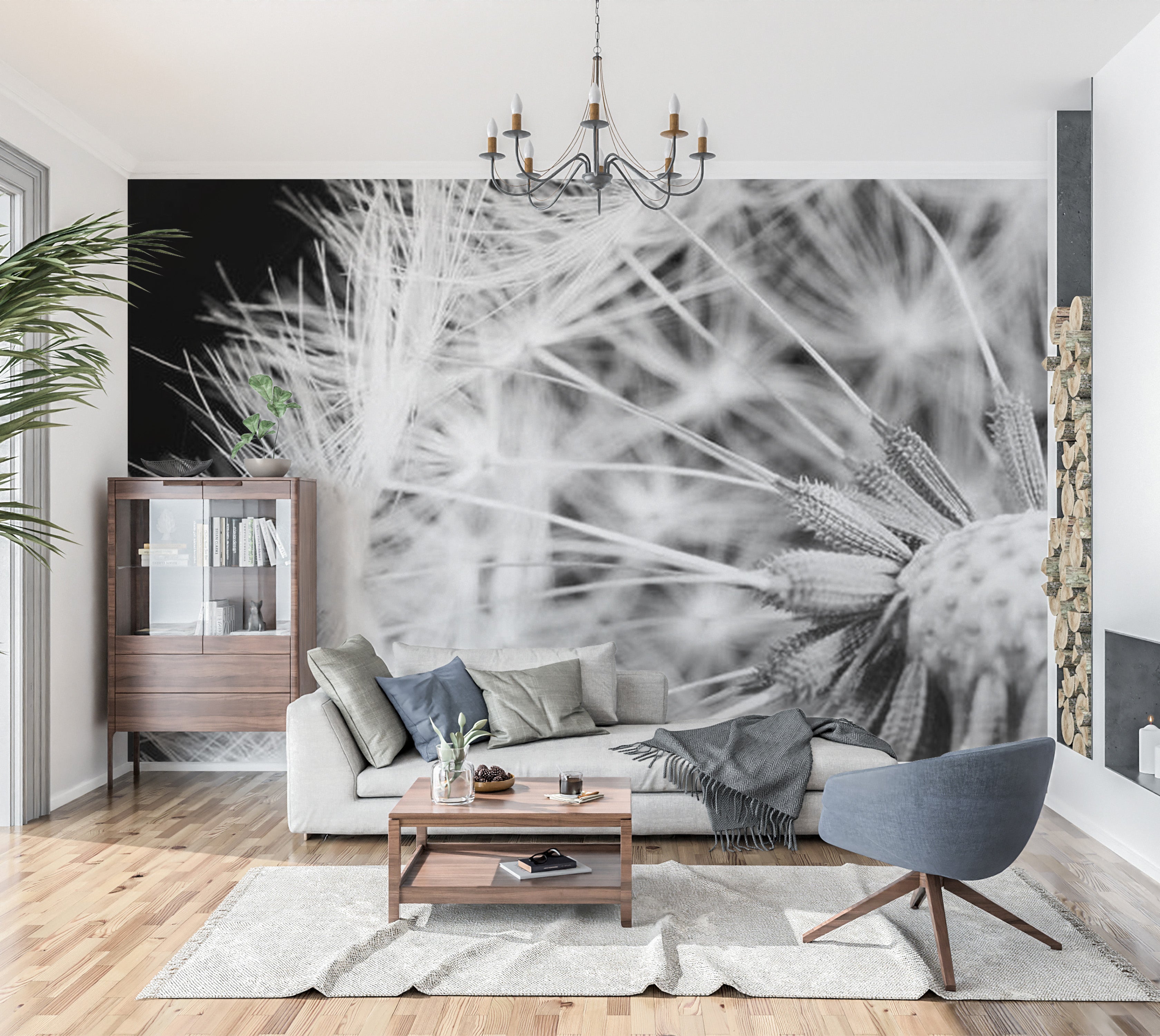 Botanical Wallpaper Wall Mural - Black And White Dandelion