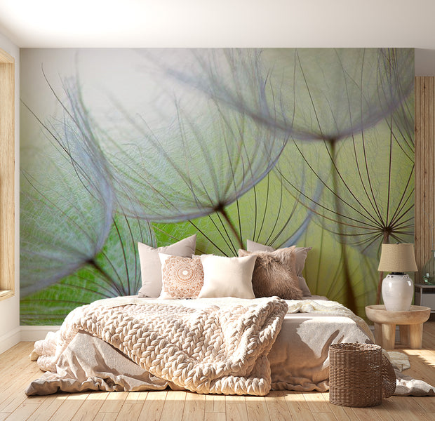 Botanical Wallpaper Wall Mural - Dandelions