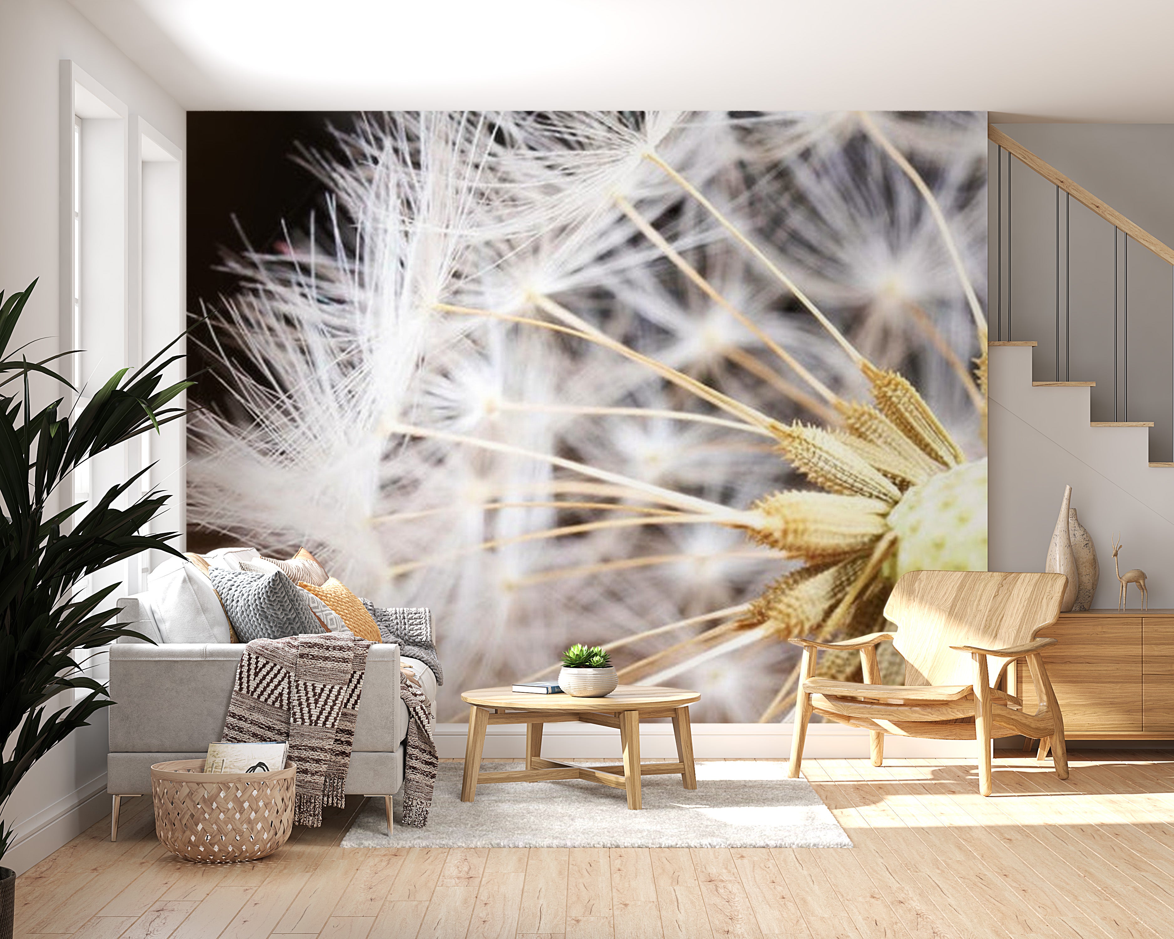 Botanical Wallpaper Wall Mural - Fluffy Dandelion