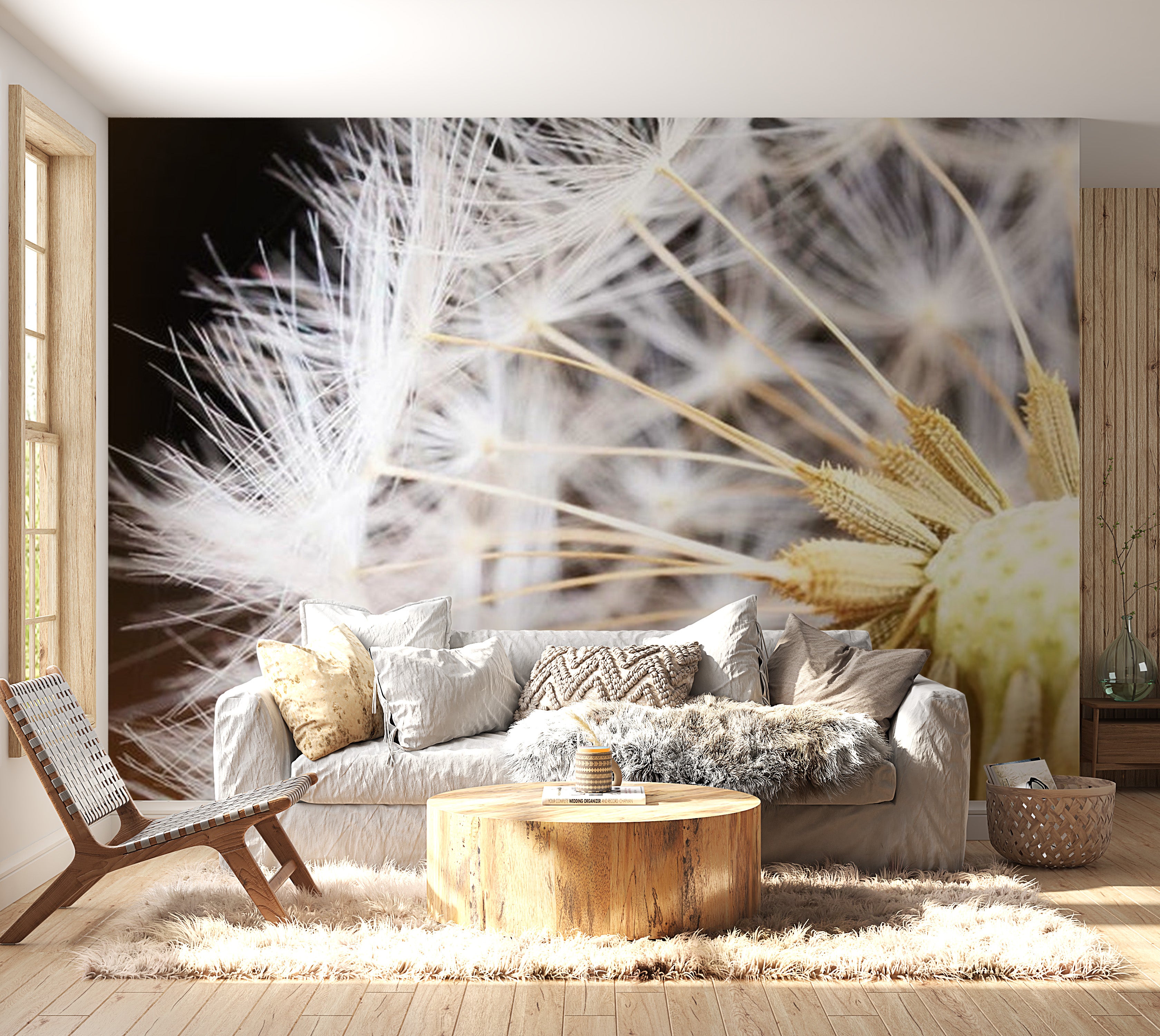 Botanical Wallpaper Wall Mural - Fluffy Dandelion