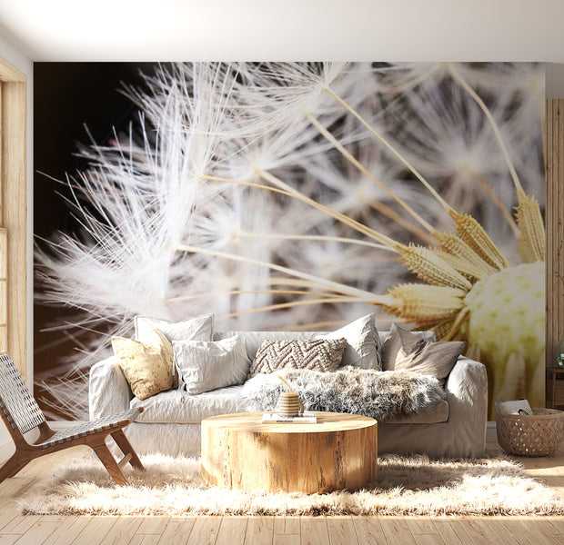 Botanical Wallpaper Wall Mural - Fluffy Dandelion