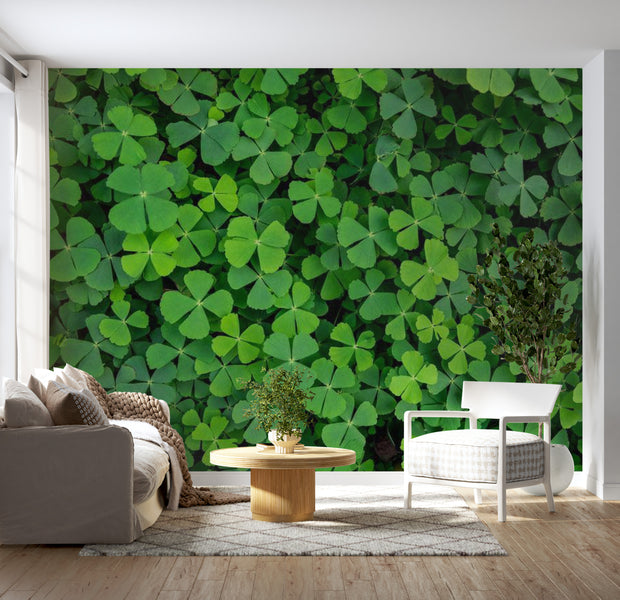 Botanical Wallpaper Wall Mural - Green Clover