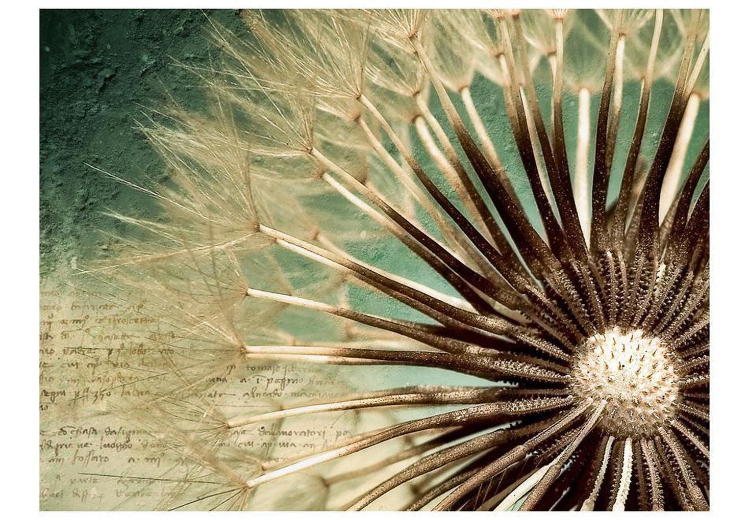 Botanical Wallpaper Wall Mural - Retro Dandelion