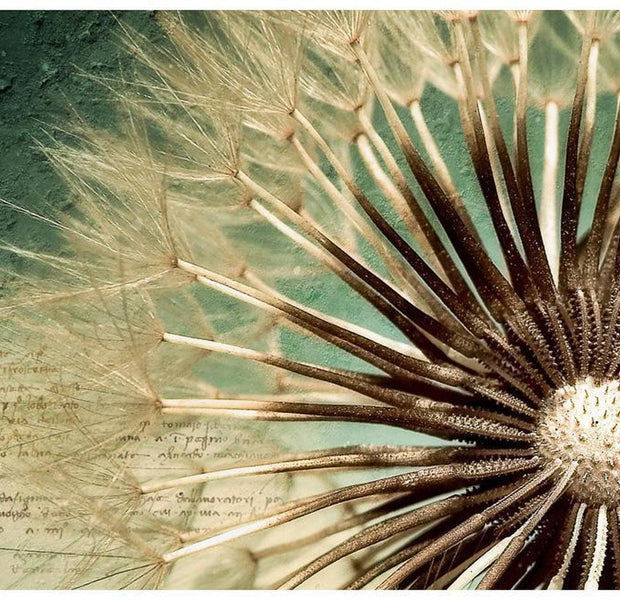 Botanical Wallpaper Wall Mural - Retro Dandelion