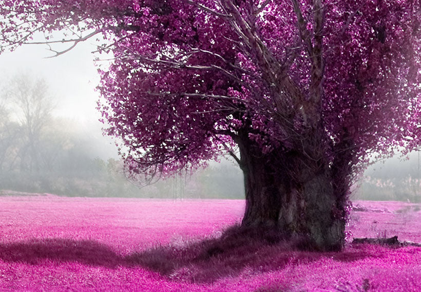 Stretched Canvas Landscape Art - Purple Land