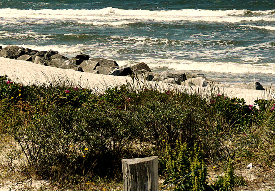 Stretched Canvas Landscape Art - The Beach Of Dreams