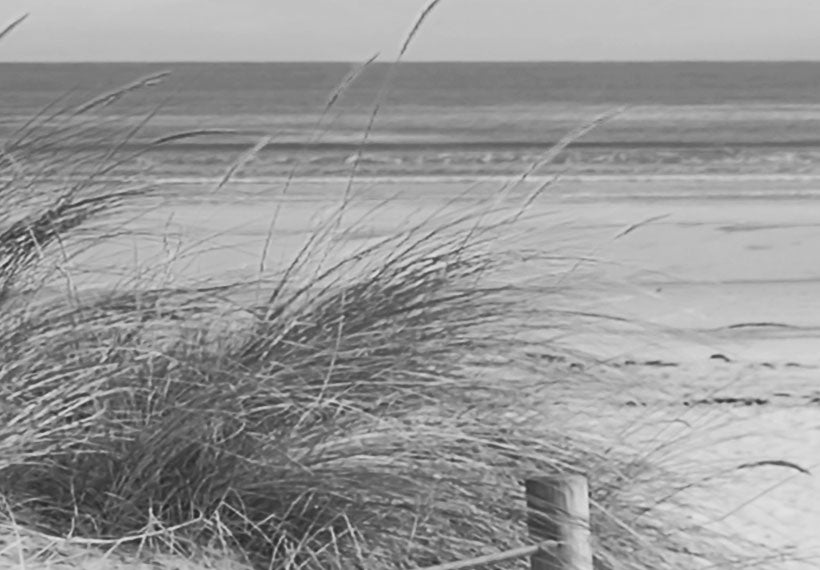 Stretched Canvas Landscape Art - Morning On The Beach - Black And White