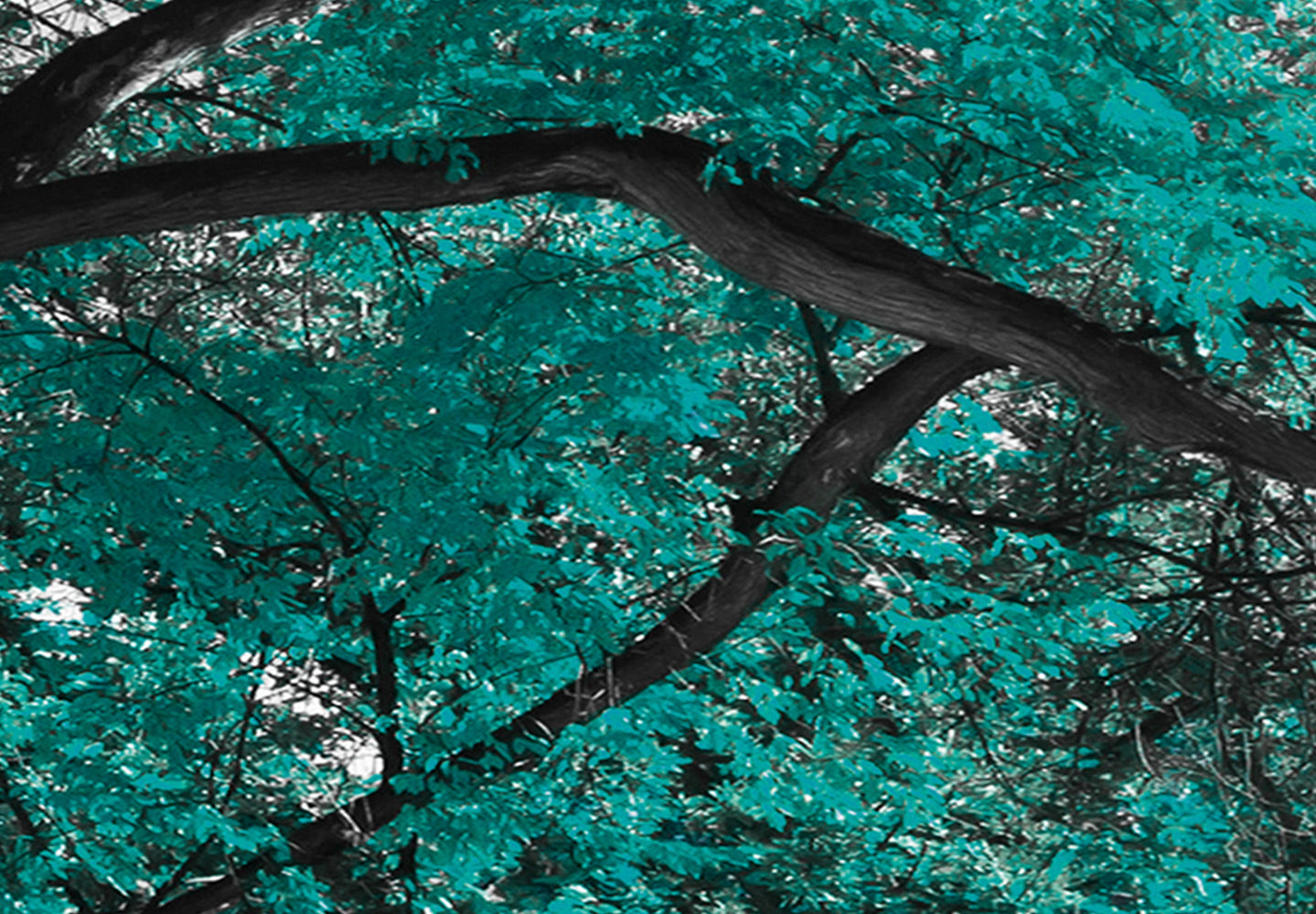 Stretched Canvas Landscape Art - Autumn In The Park Turquoise 5 Piece