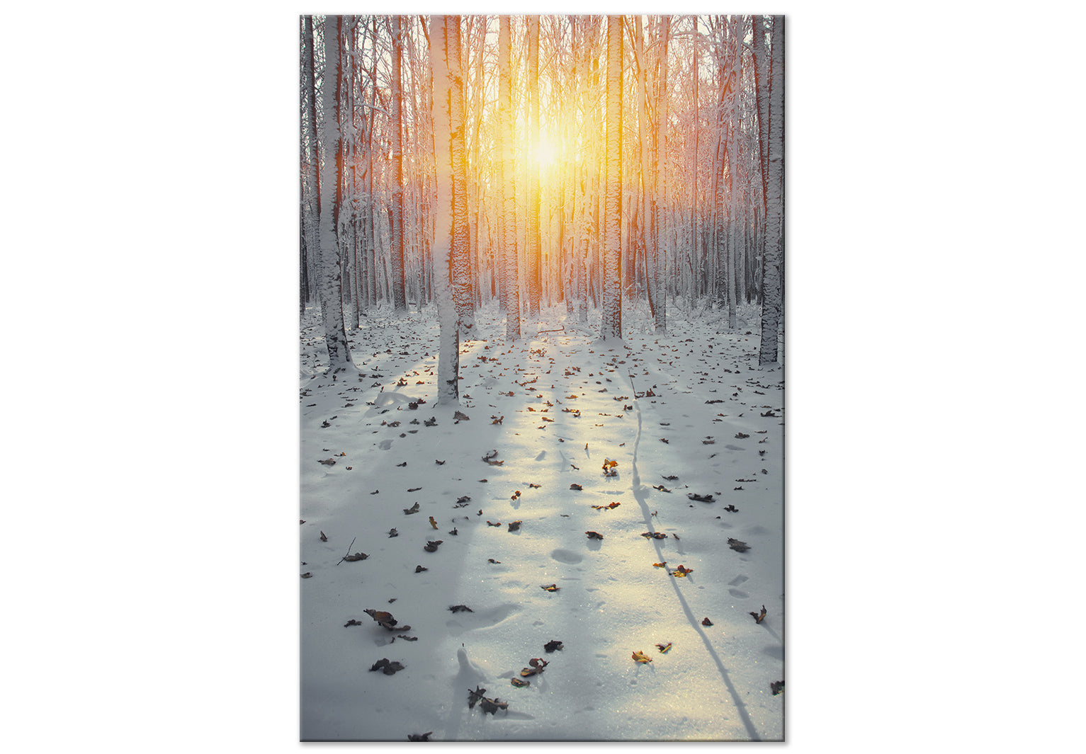 Landscape Canvas Wall Art - Winter Afternoon