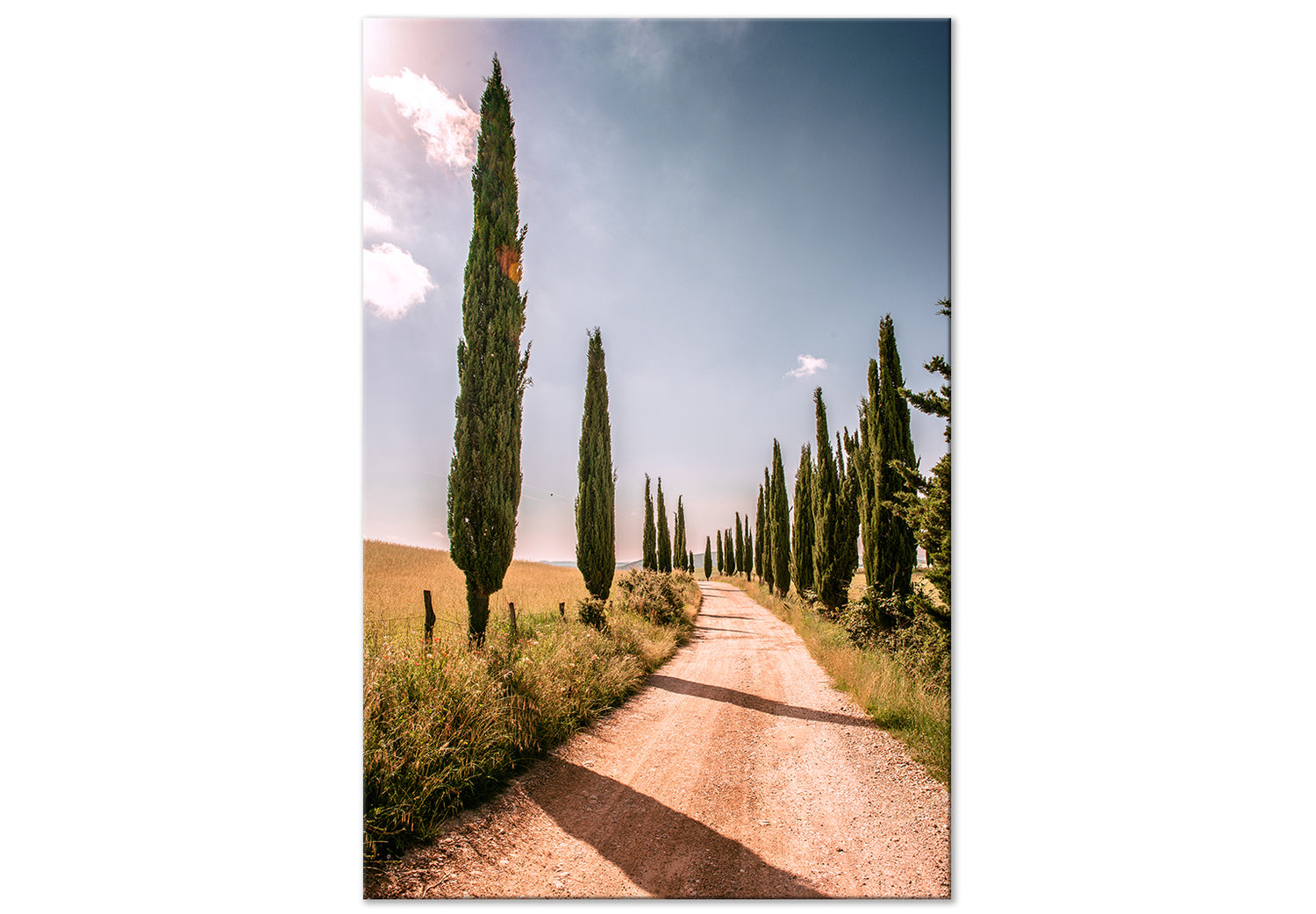 Landscape Canvas Wall Art - Italian cypresses