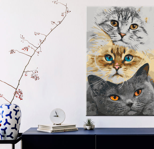 Paint By Numbers Kit - Cat's Trio