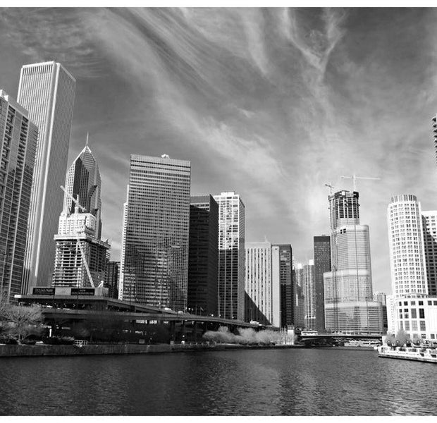 Cityscape Wallpaper Wall Mural - Chicago Skyline Black And White