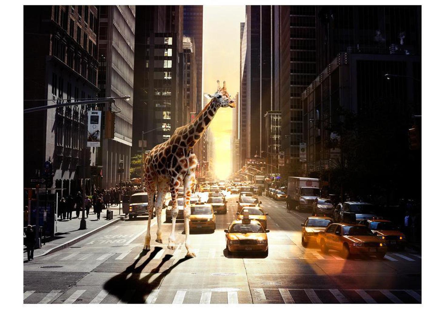 Cityscape Wallpaper Wall Mural - Giraffe In The Big City