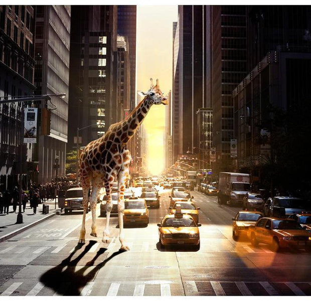 Cityscape Wallpaper Wall Mural - Giraffe In The Big City