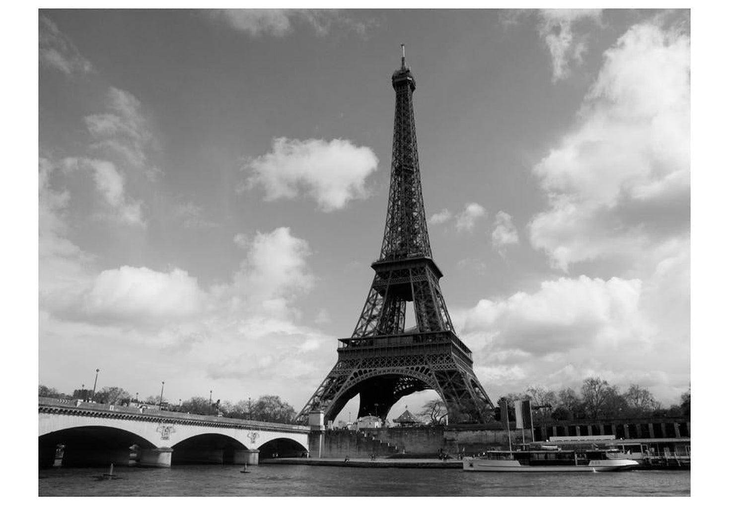 Cityscape Wallpaper Wall Mural - Seine And Eiffel Tower