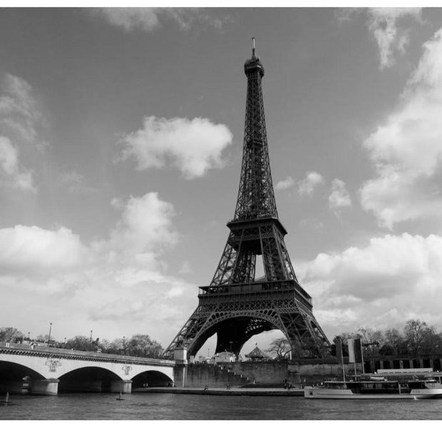 Cityscape Wallpaper Wall Mural - Seine And Eiffel Tower