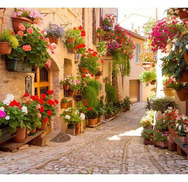 Cityscape Wallpaper Wall Mural - The Alley In Spello Italy