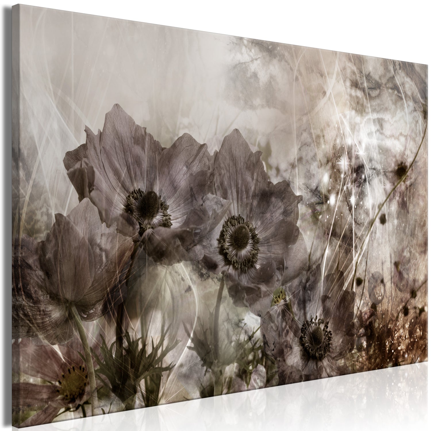 Floral Canvas Wall Art - Anemones in Sepia