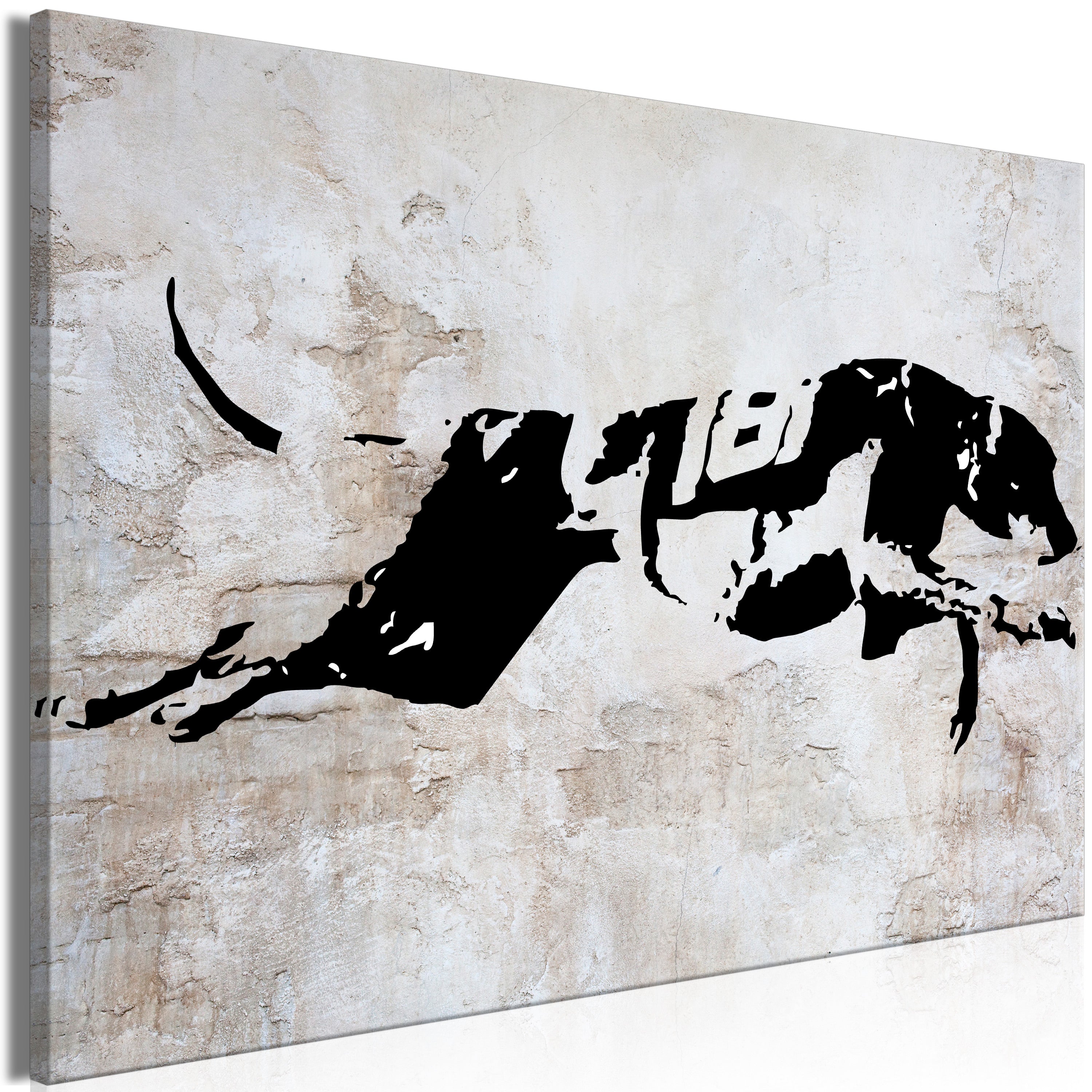 Animal Canvas Wall Art - Greyhound Race