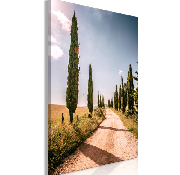 Landscape Canvas Wall Art - Italian cypresses