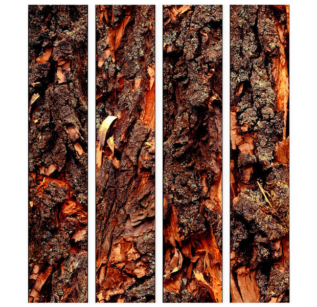 Repeating Wallpaper Roll - Time Carved Into A Tree