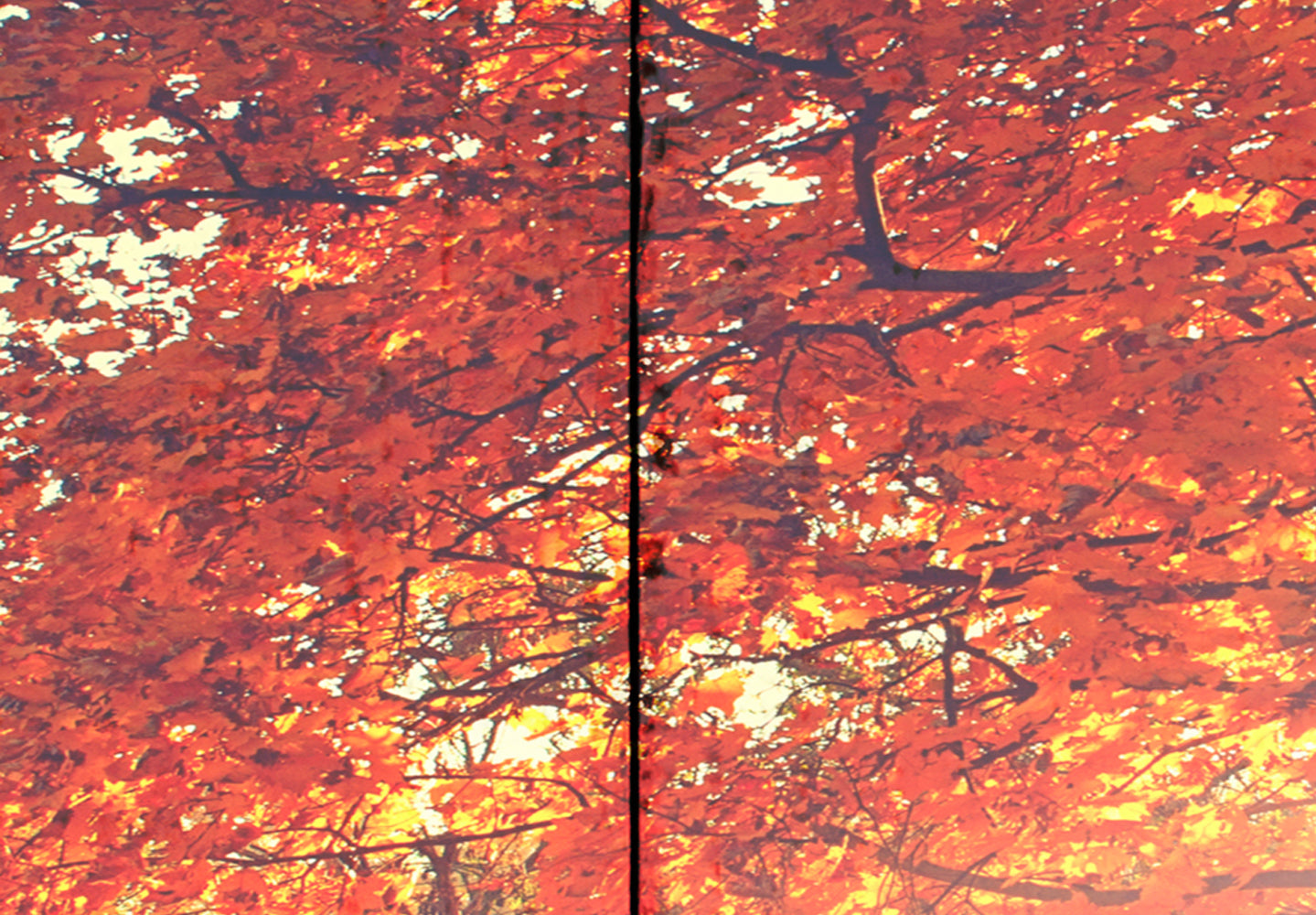 Stretched Canvas Landscape Art - Autumn Sun