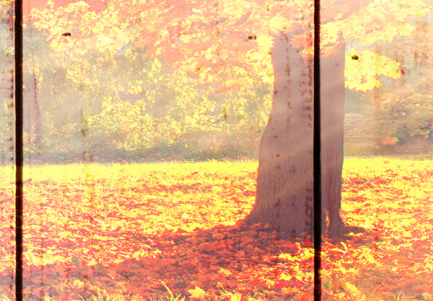 Stretched Canvas Landscape Art - Autumn Sun