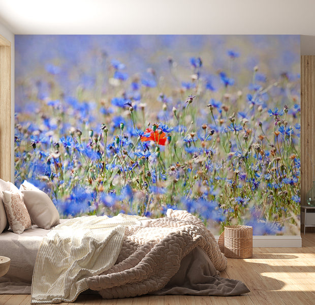 Floral Wallpaper Wall Mural - A Field Of Sky Blue Flowers