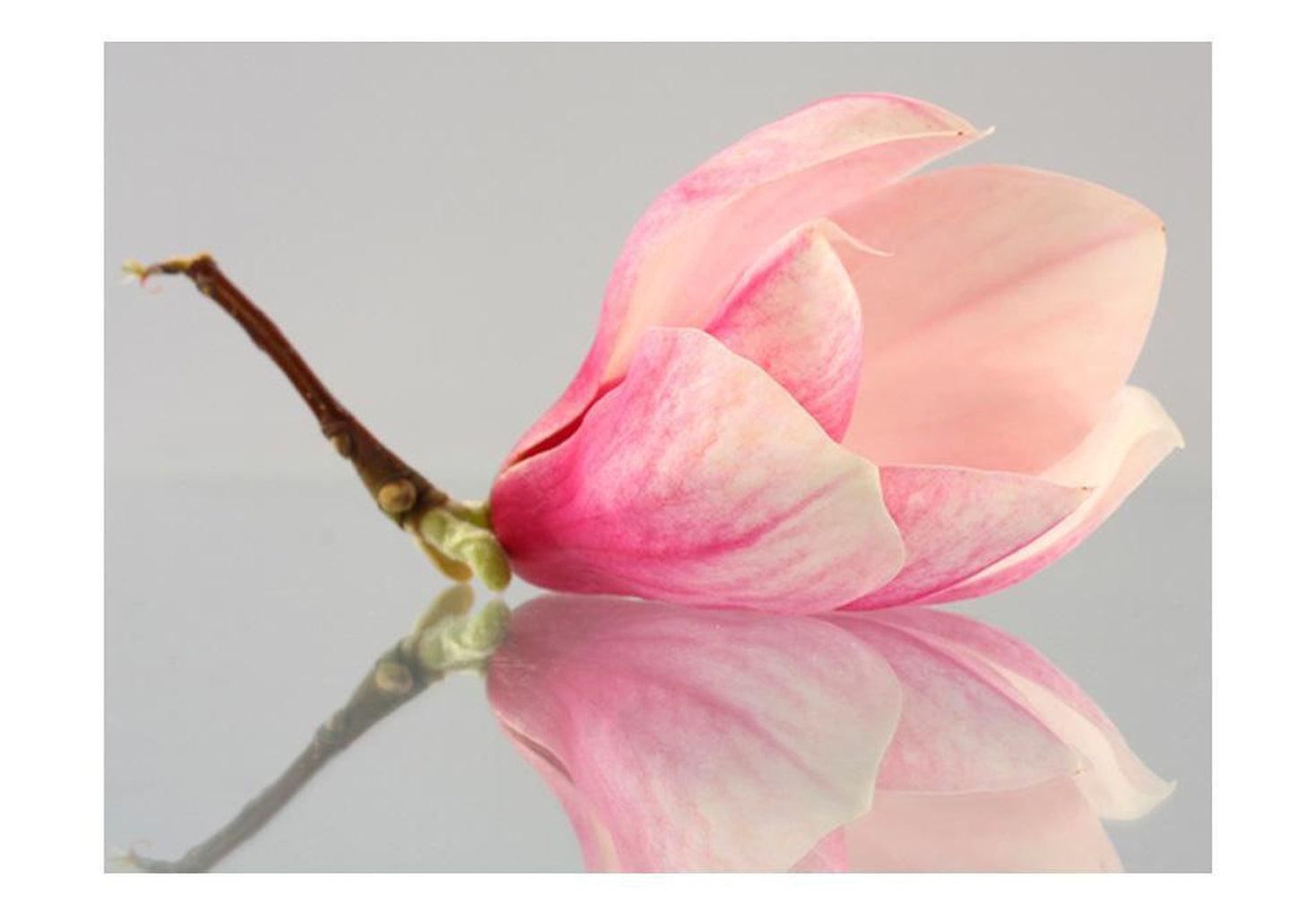 Floral Wallpaper Wall Mural - A Lonely Magnolia Flower