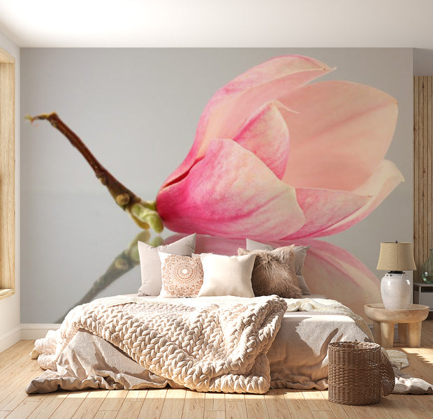 Floral Wallpaper Wall Mural - A Lonely Magnolia Flower
