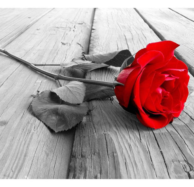 Floral Wallpaper Wall Mural - Abandoned Rose