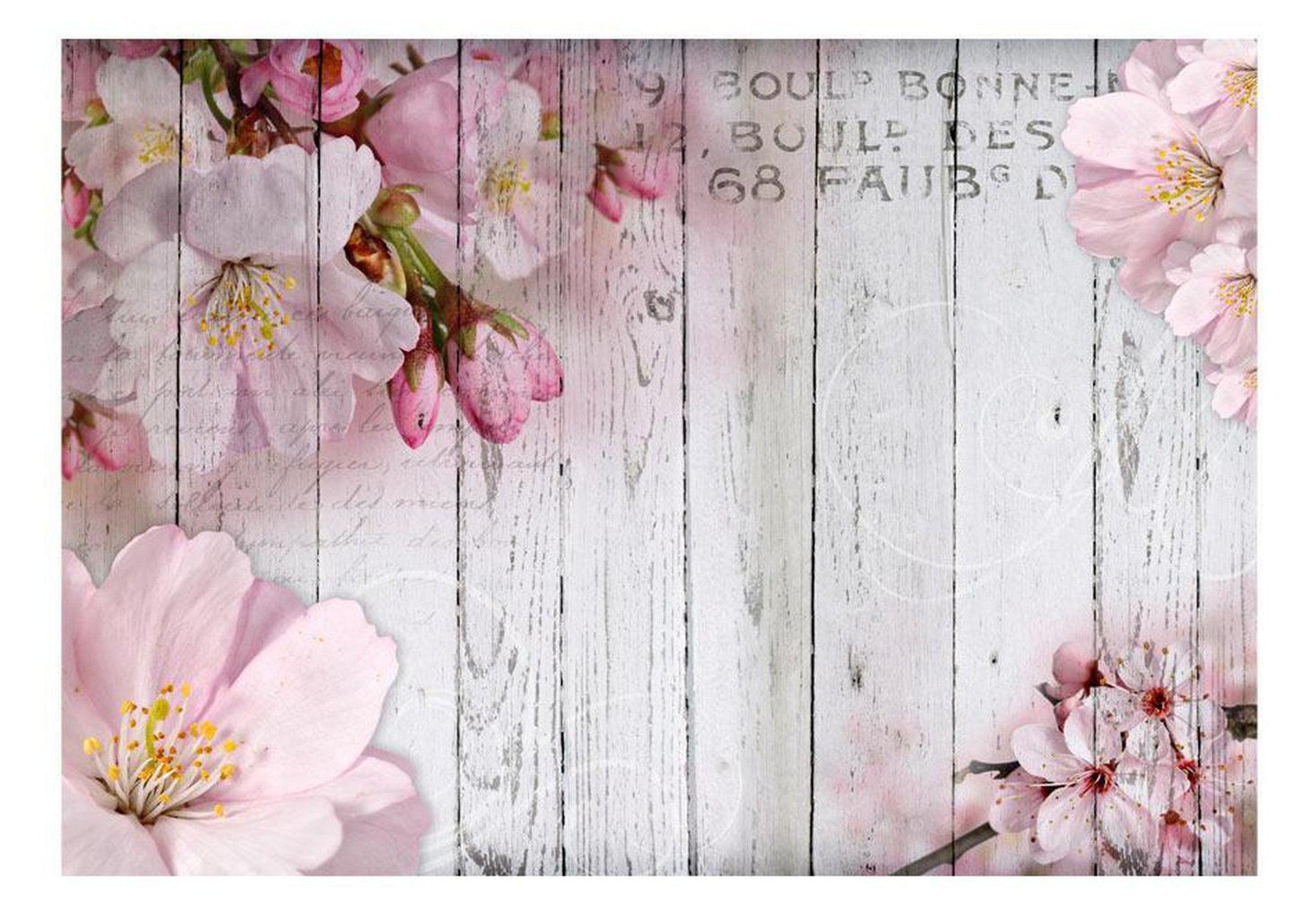 Floral Wallpaper Wall Mural - Apple Blossoms