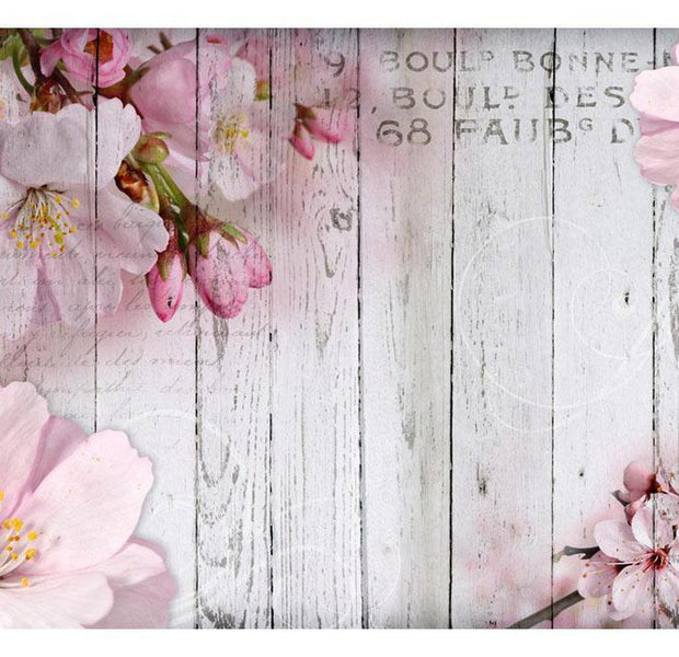 Floral Wallpaper Wall Mural - Apple Blossoms