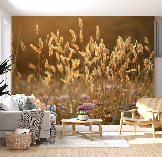 Floral Wallpaper Wall Mural - Awakening Ceral Field